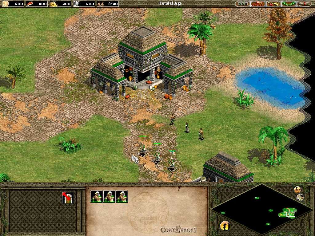 Age of Empire : the conquerors